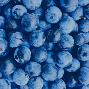 Blueberry