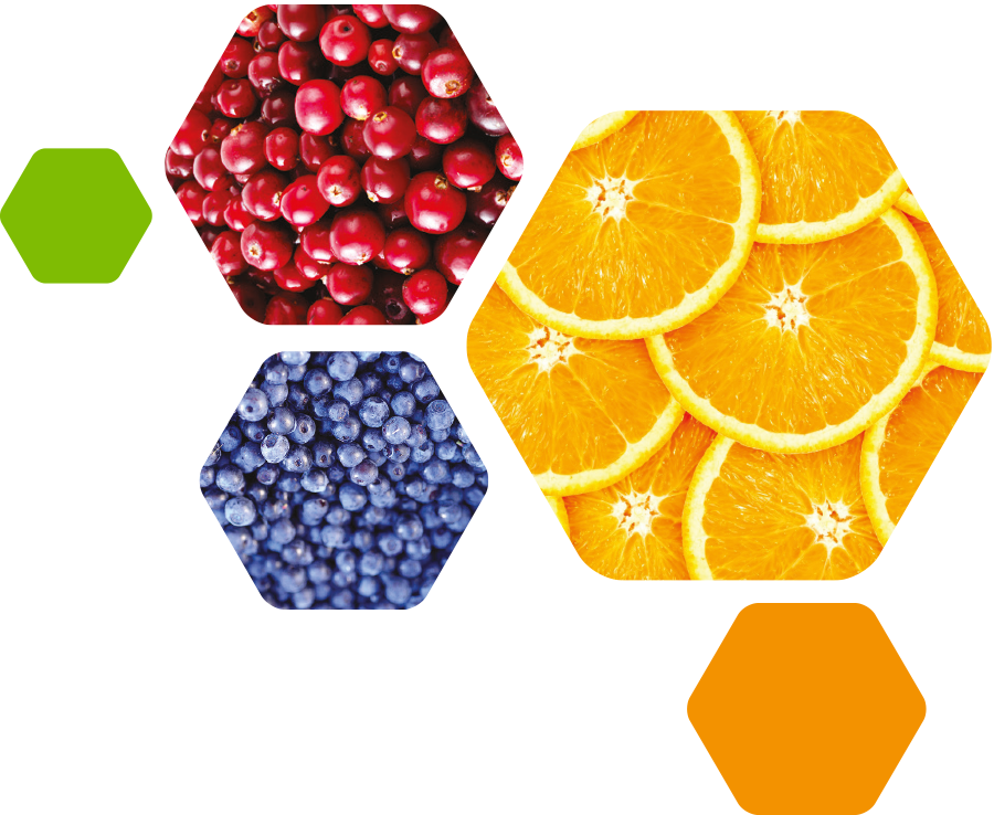 fruit in hexagons