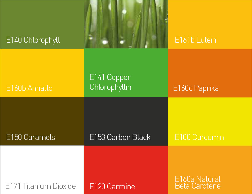 Chlorophyllin Green Dye - Botanical Colors