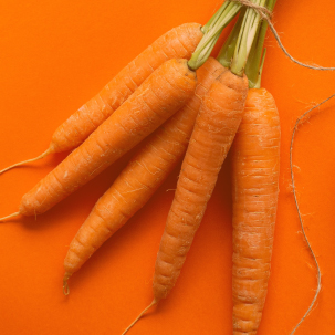 carrots with orange background