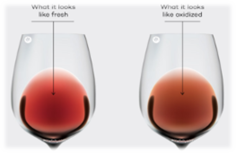 fresh and old wine comparison