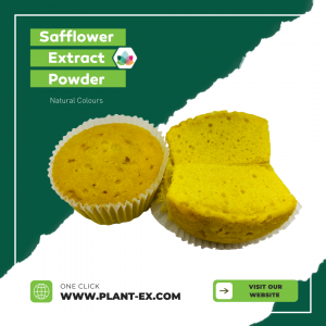 safflower extract yellow powder