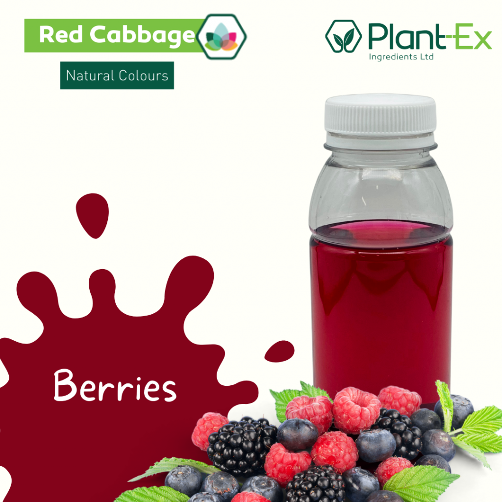 red cabbage pink purple drink for berries
