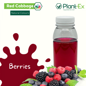 red cabbage pink purple drink for berries