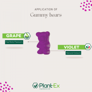 grape violet purple gummy bear