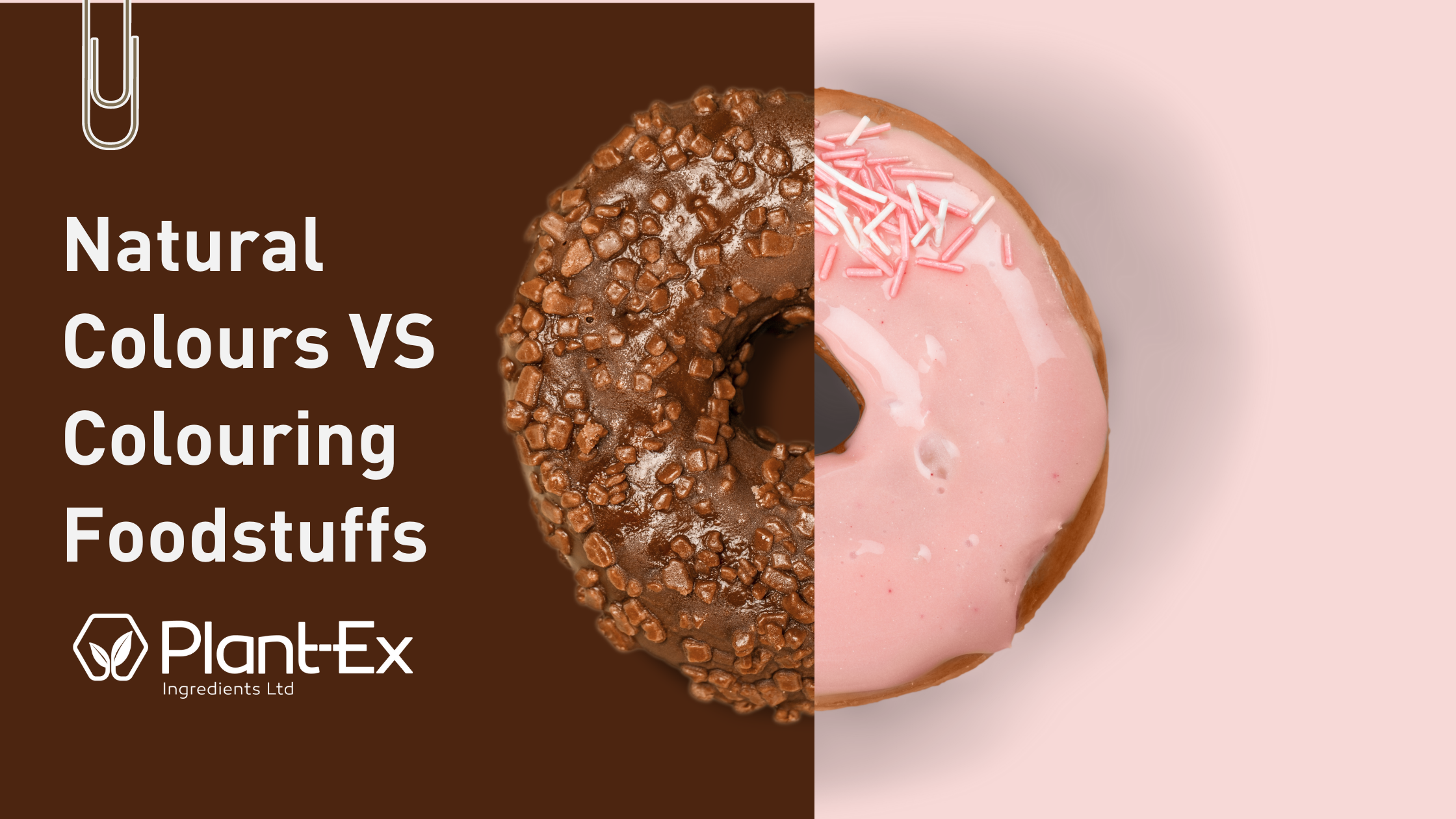 Natural colours donut colouring foodstuffs