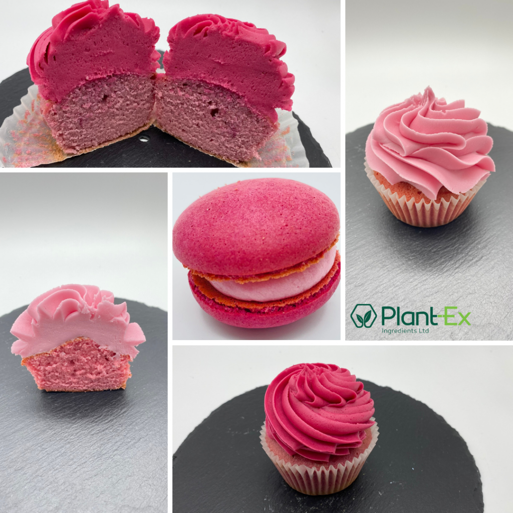 Strawberry Bakery applications - cupcake and macarons