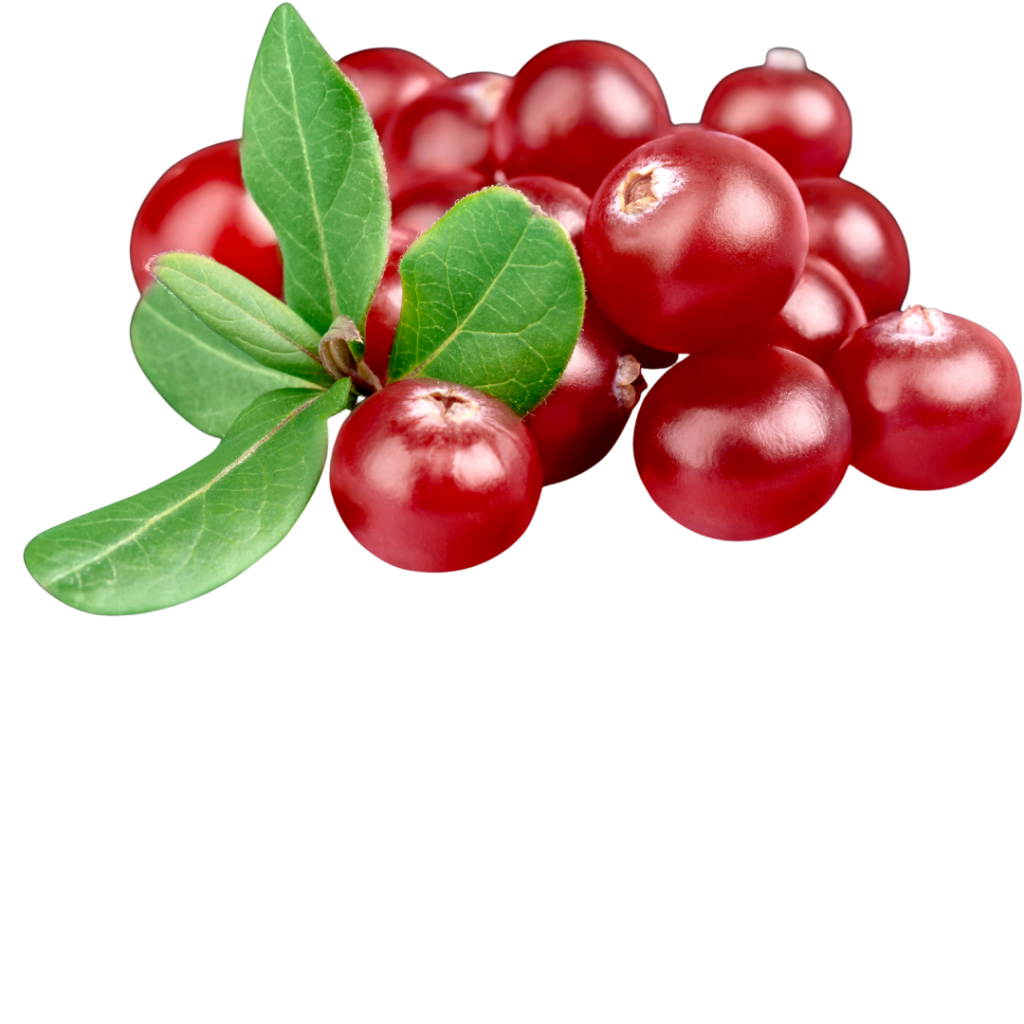 cranberry popular flavour this christmas