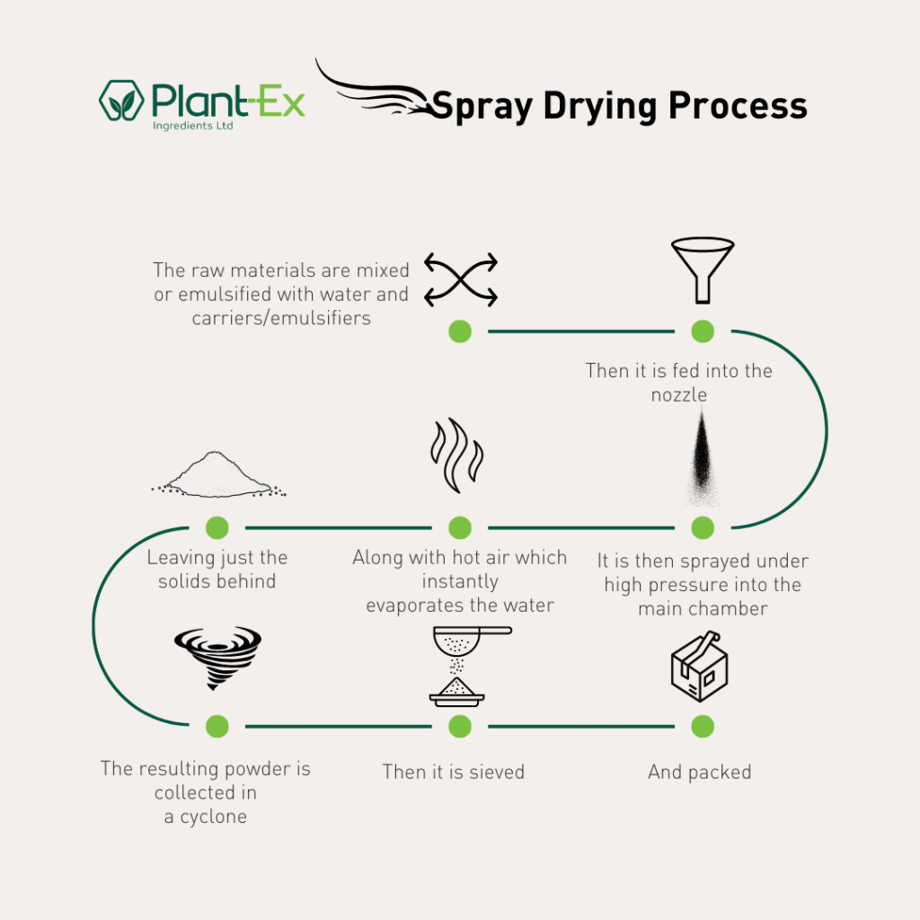 the process of spray drying diagram