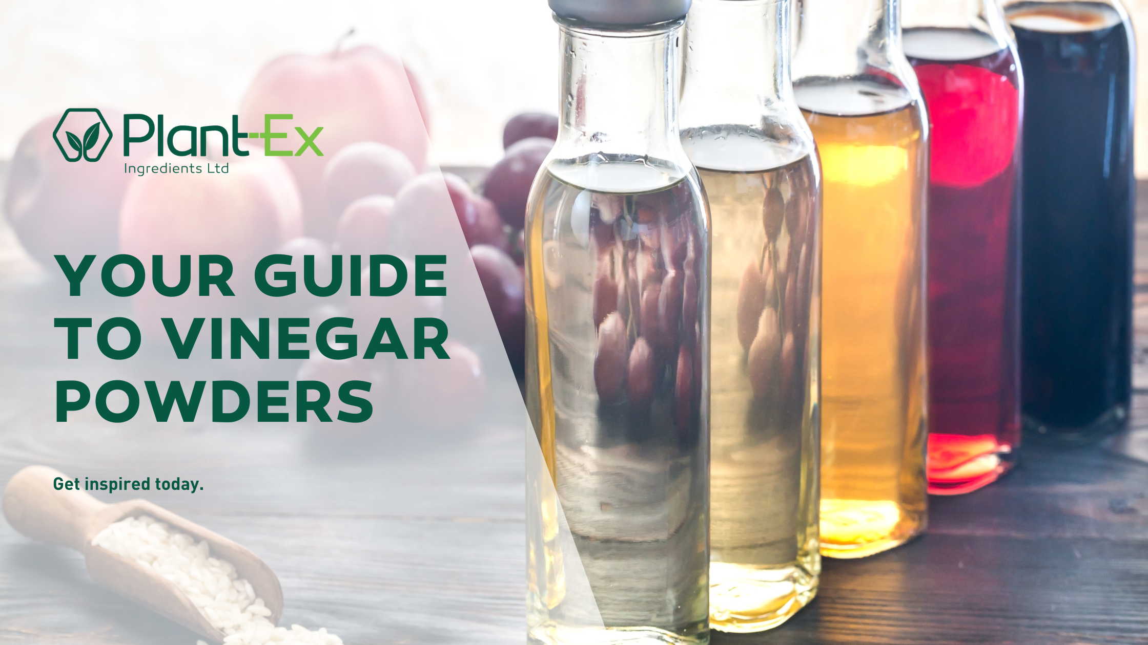 vinegar powder blog