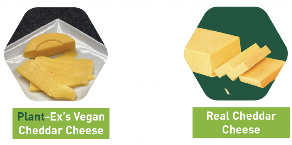 vegan cheddar cheese flavour in application