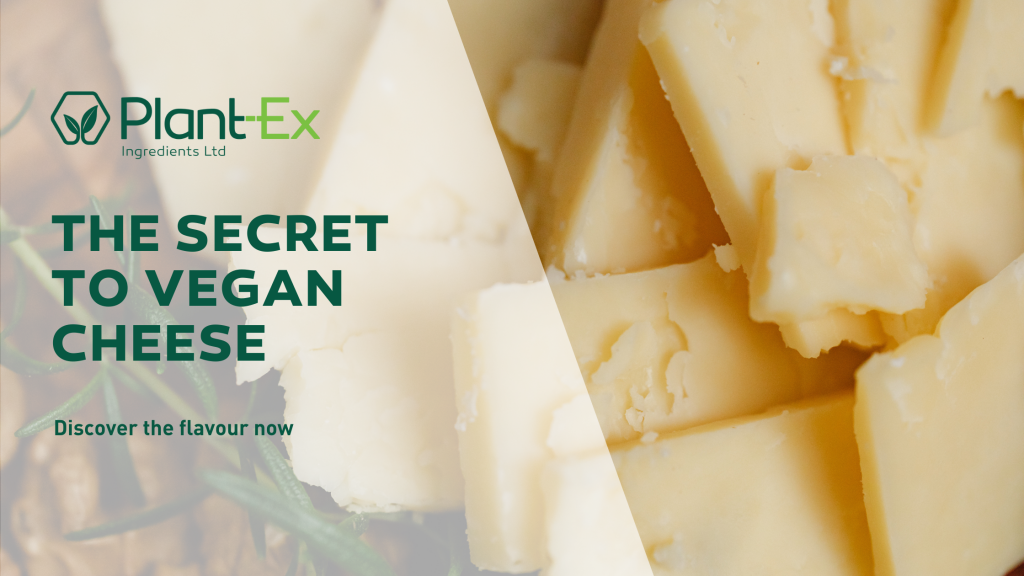 The secret to vegan cheese blog banner