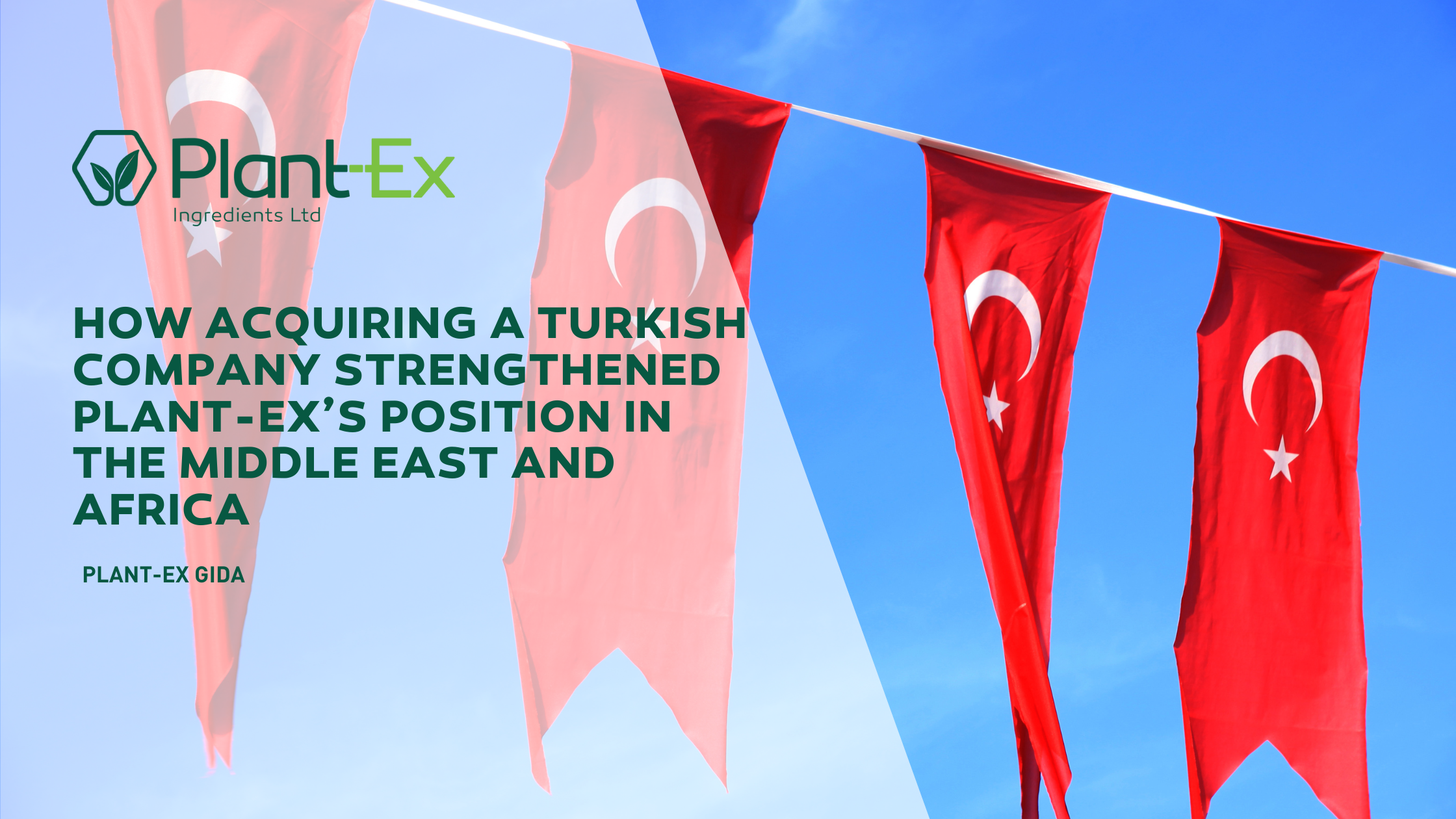How Acquiring a Turkish Company Strengthened Plant-Ex’s Position in the Middle East and Africa
