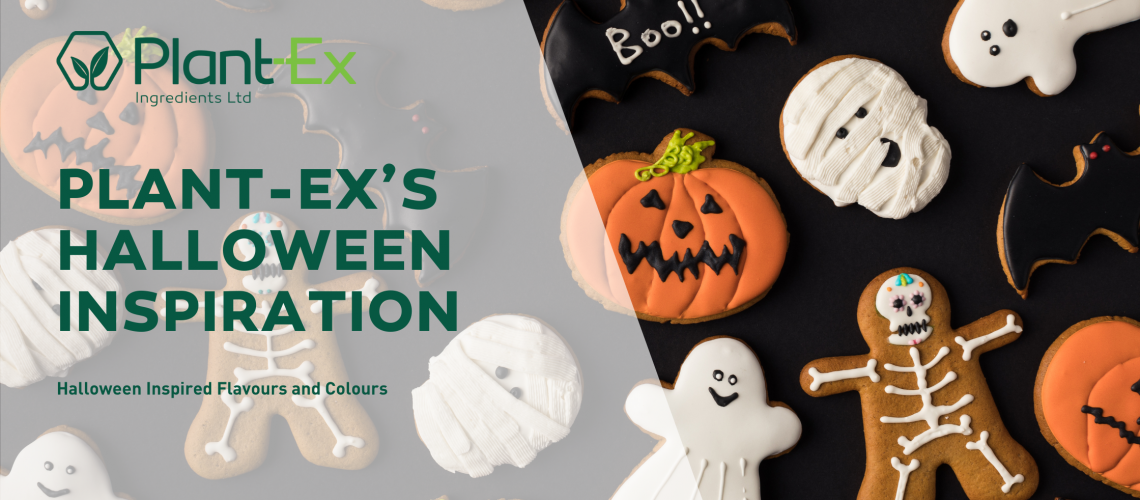 Halloween Blog Banner