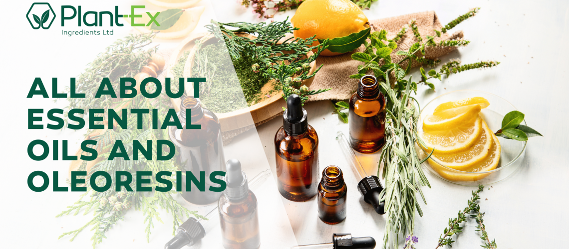 all about essential oils and oleoresins blog post