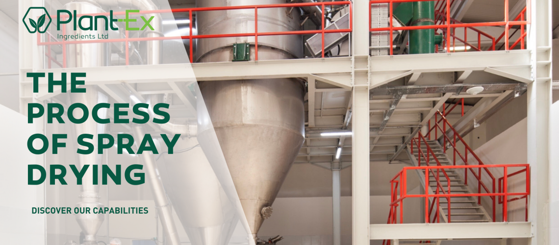The Process of Spray Drying Blog